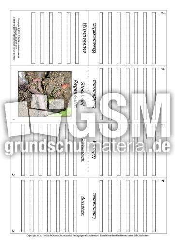 Faltbuch-Regenwurm.pdf